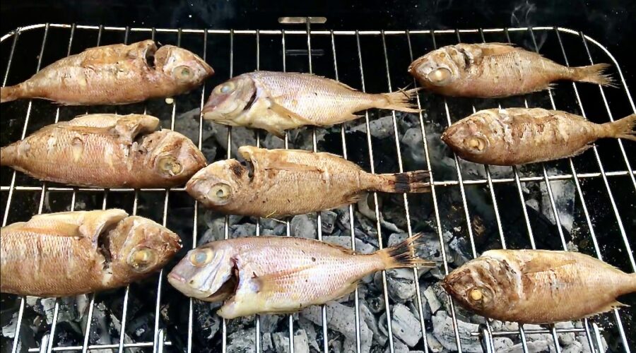 Rybki z grilla to Twoje ulubione ryby niedużych rozmiarów doprawione oliwą i świeżymi ziołami, a następnie pieczone na ruszcie.